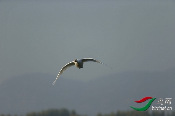 _E8J0582.jpg