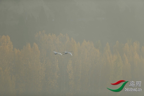 _E8J0589.jpg