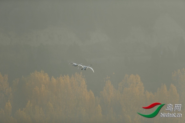 _E8J0586.jpg
