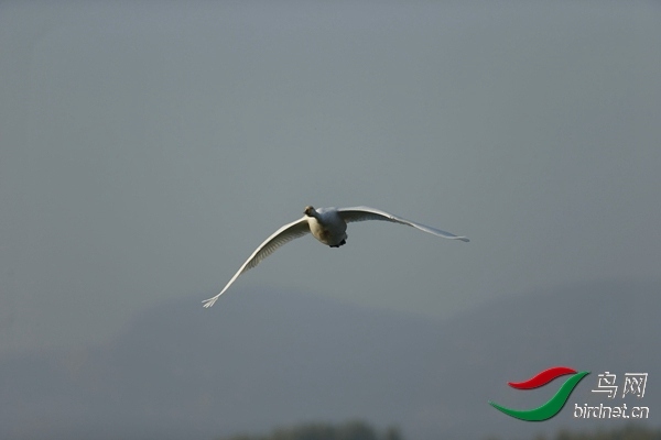 _E8J0585.jpg