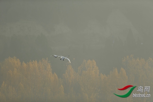 _E8J0588.jpg