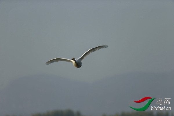 _E8J0583.jpg
