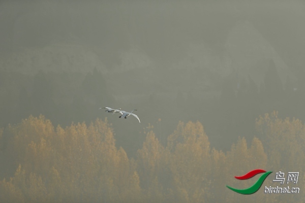 _E8J0587.jpg