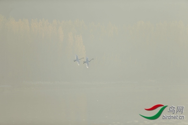 _E8J0597.jpg