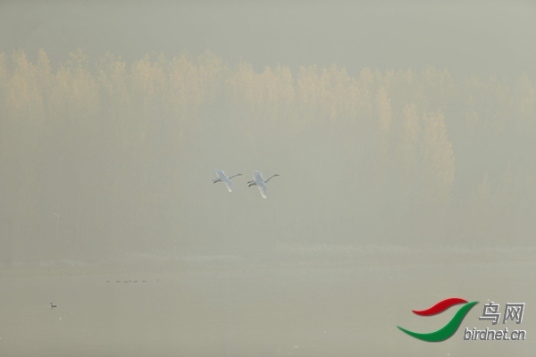 _E8J0596.jpg