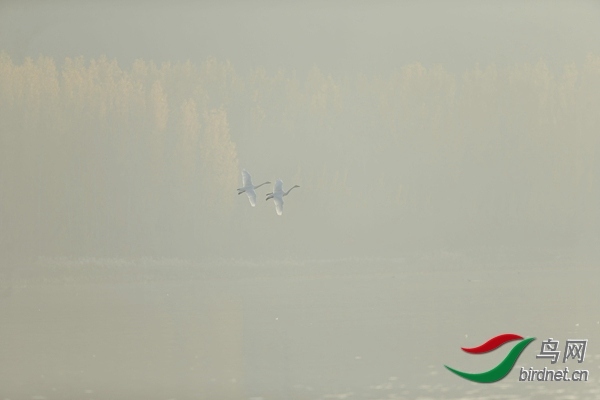 _E8J0598.jpg