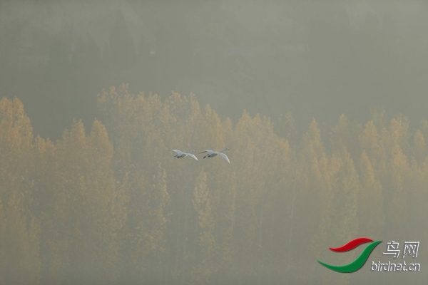 _E8J0590.jpg