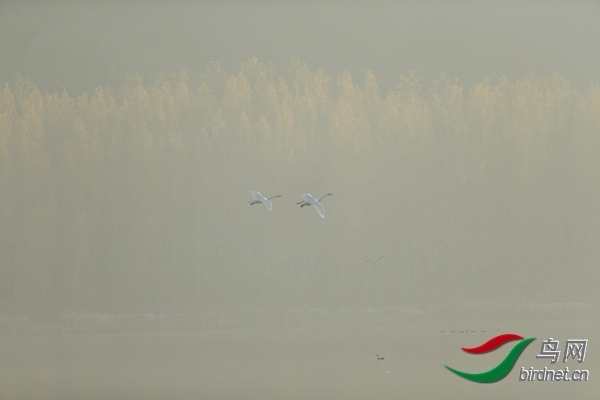 _E8J0593.jpg