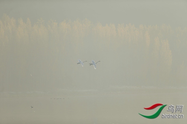 _E8J0595.jpg
