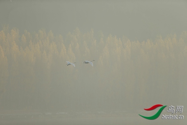 _E8J0592.jpg
