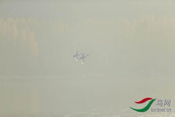 _E8J0599.jpg