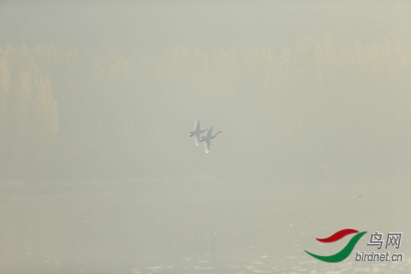 _E8J0601.jpg