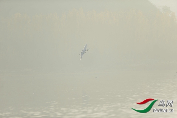 _E8J0603.jpg