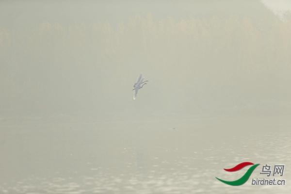 _E8J0602.jpg