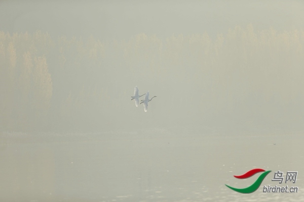 _E8J0600.jpg