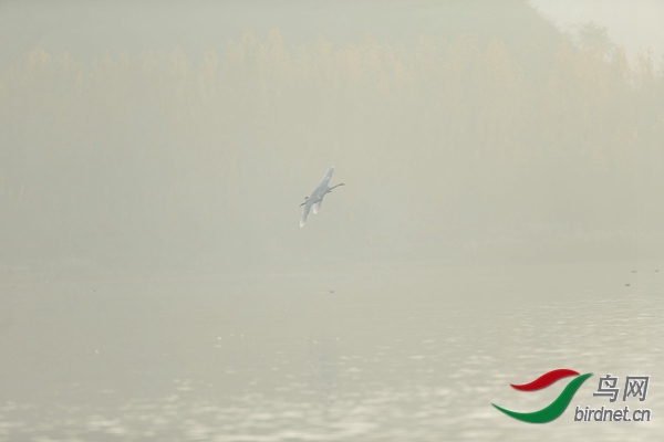 _E8J0604.jpg