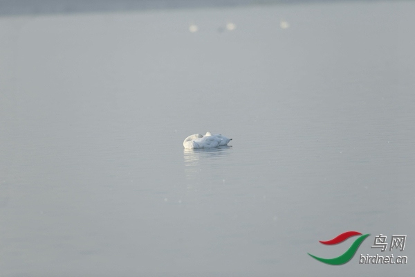 _E8J0371.jpg