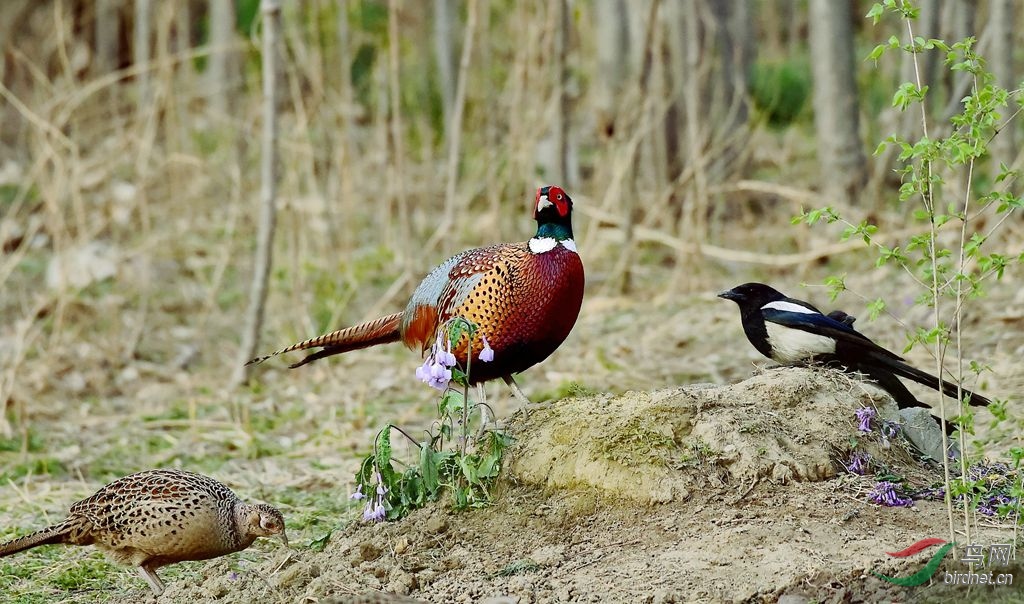 �ɼ�01     7053.jpg