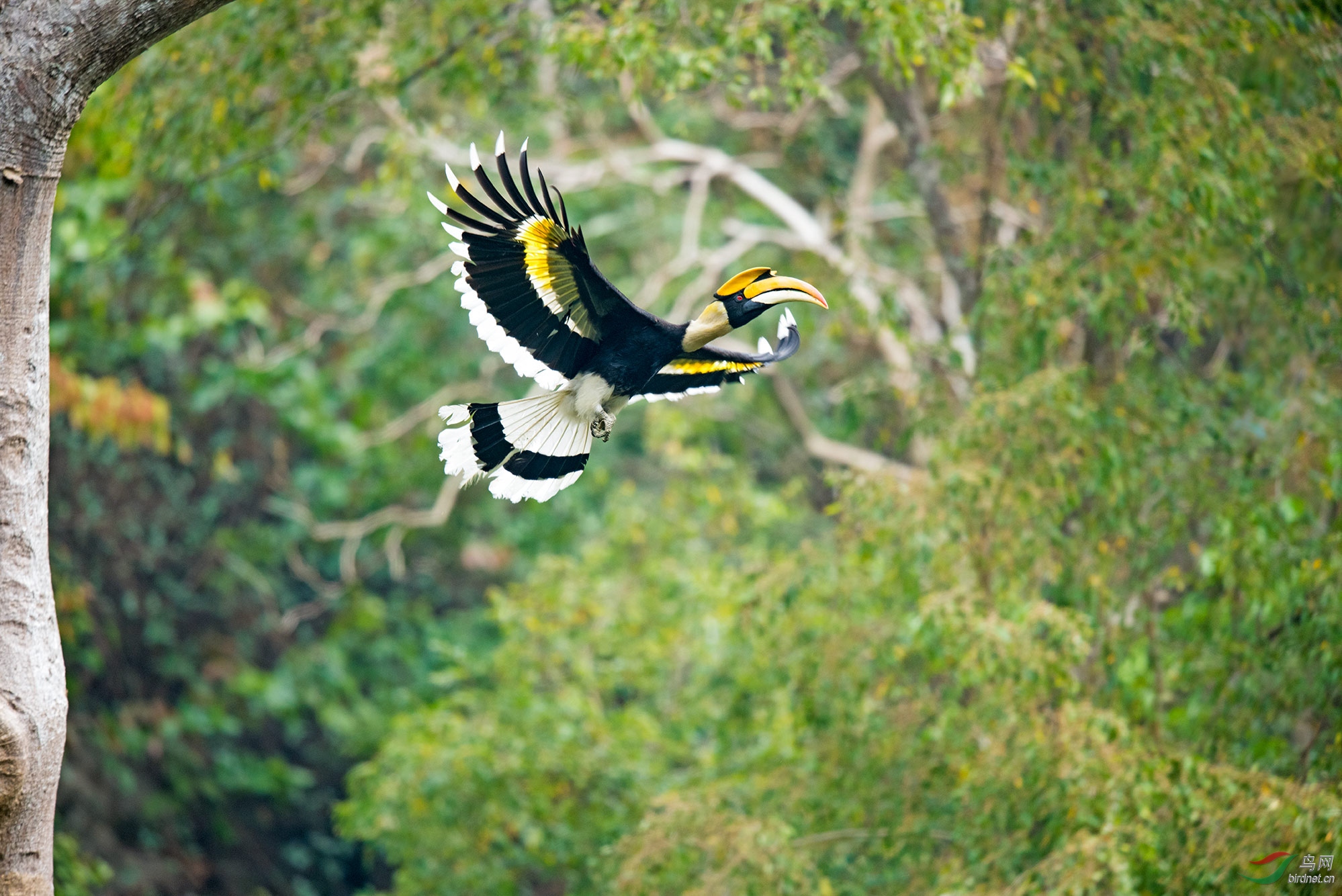 _DSC5935=.jpg