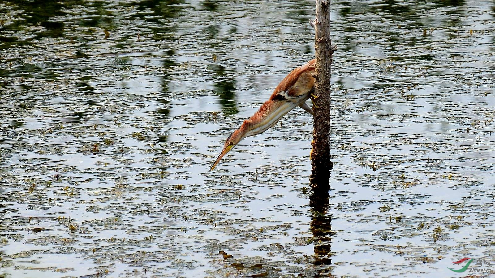 DSC_5767.JPG