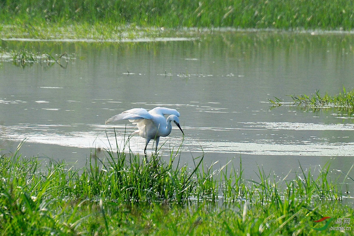 DSC_7041.JPG
