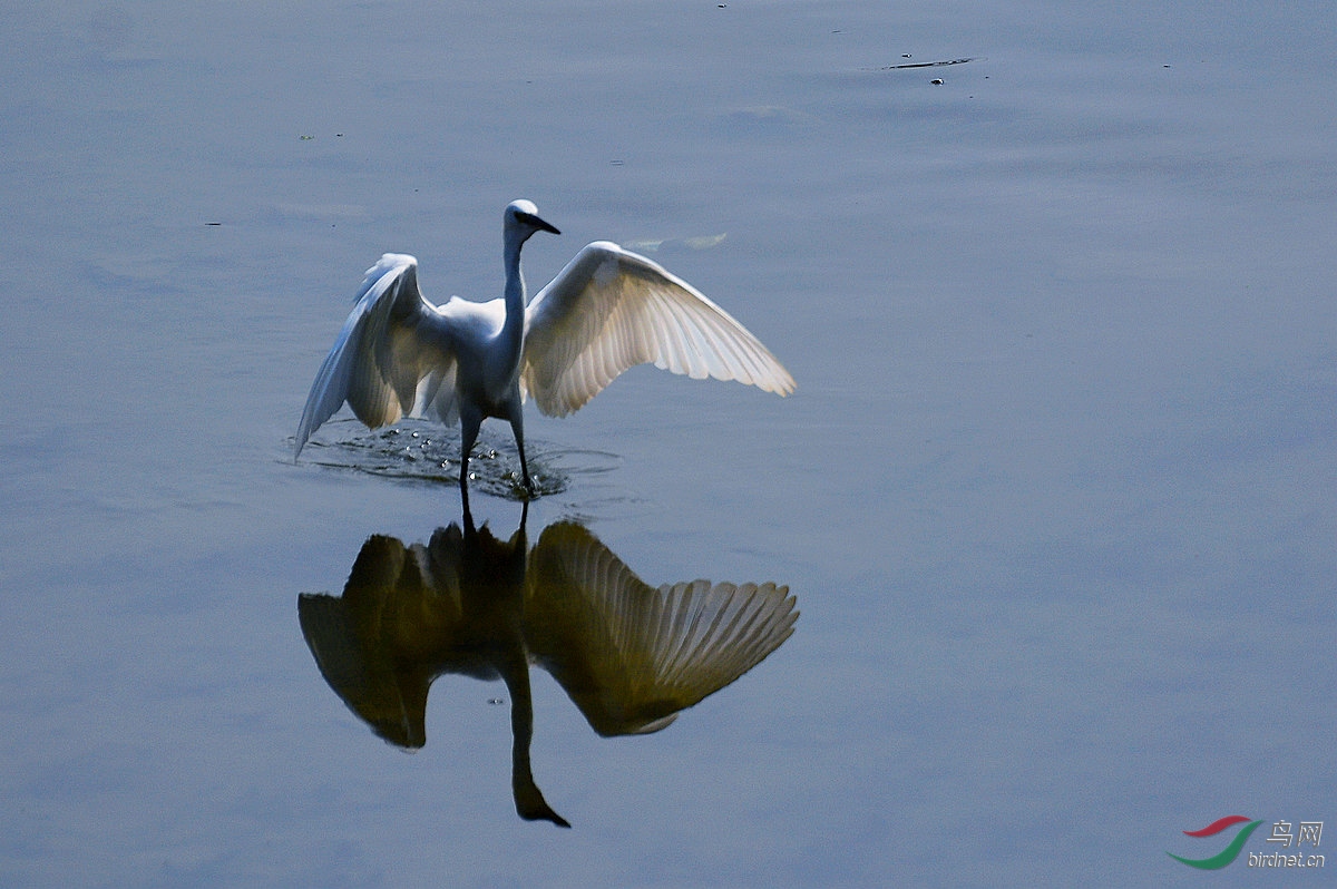 DSC_7228.JPG
