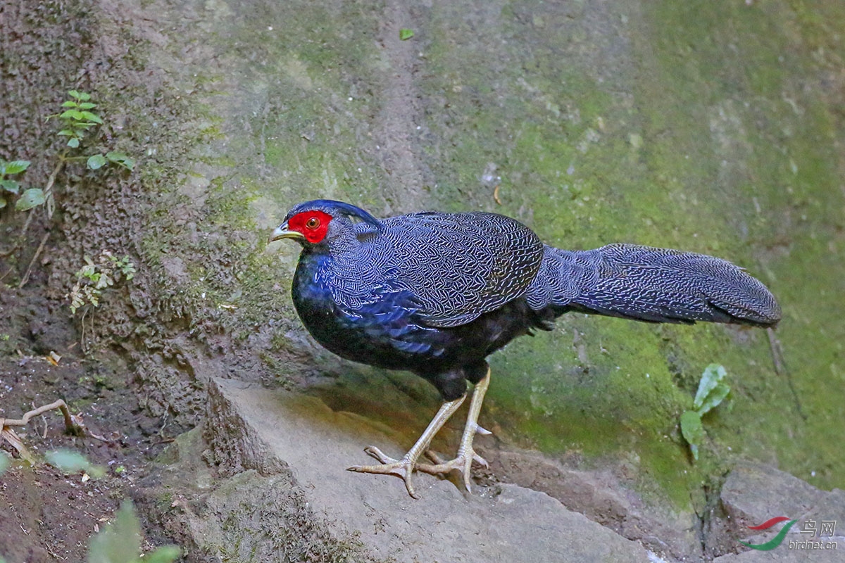 K63A9080 - ����.JPG