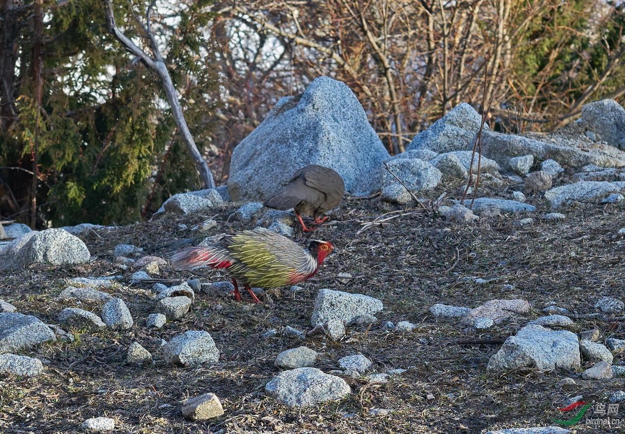 DSC06660.jpg