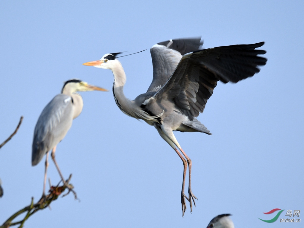 D50_9670.jpg