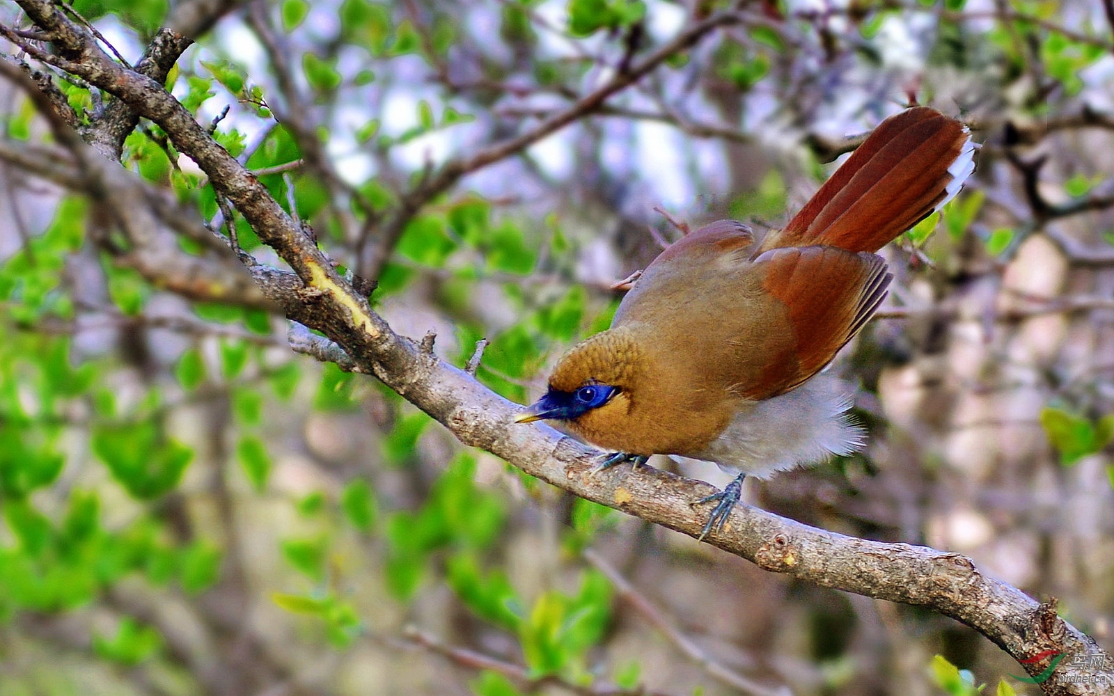 ���� 072238iqunnjnhwhqz9ltz.jpg