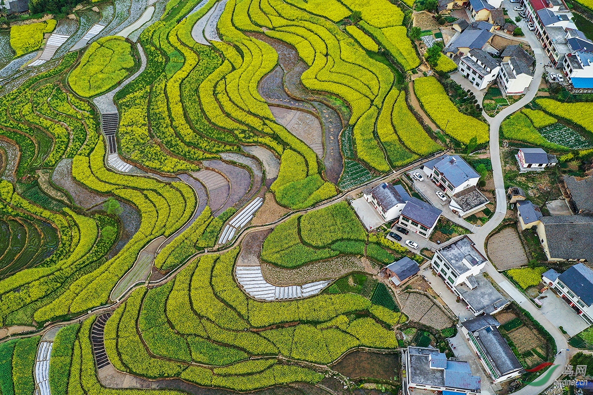 鸟瞰汉阴堰风梯田恭贺老师佳作荣获首页精华