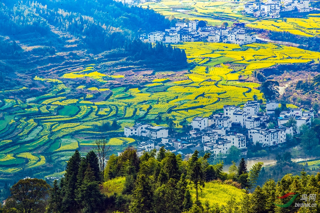 AK8I2109  03_����.jpg