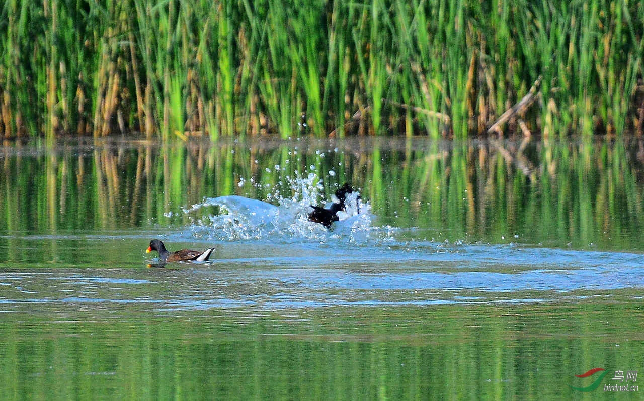 DSC_2797.JPG