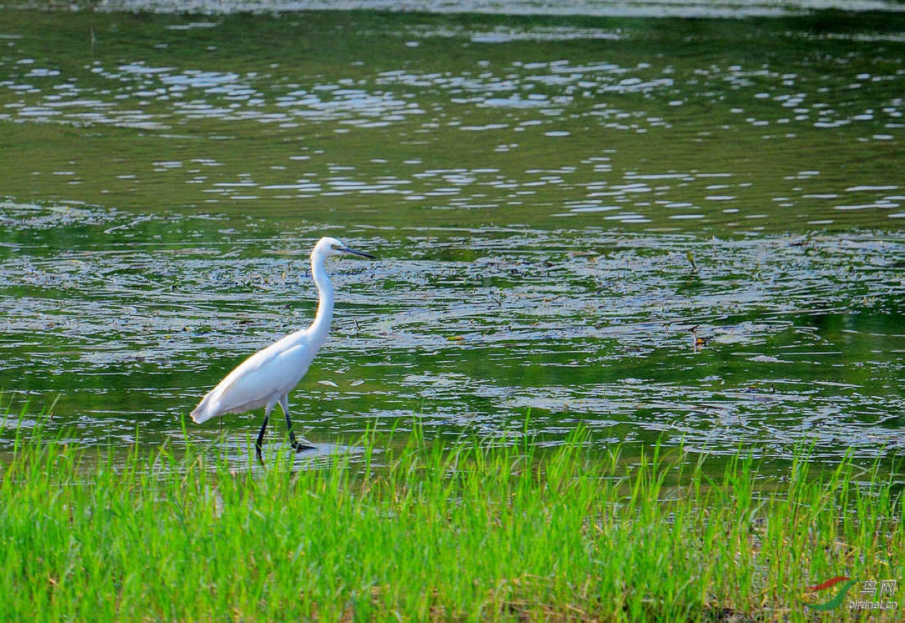 DSC_8122.JPG