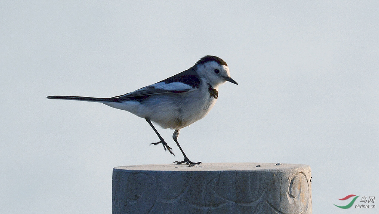 DSC_6170.JPG