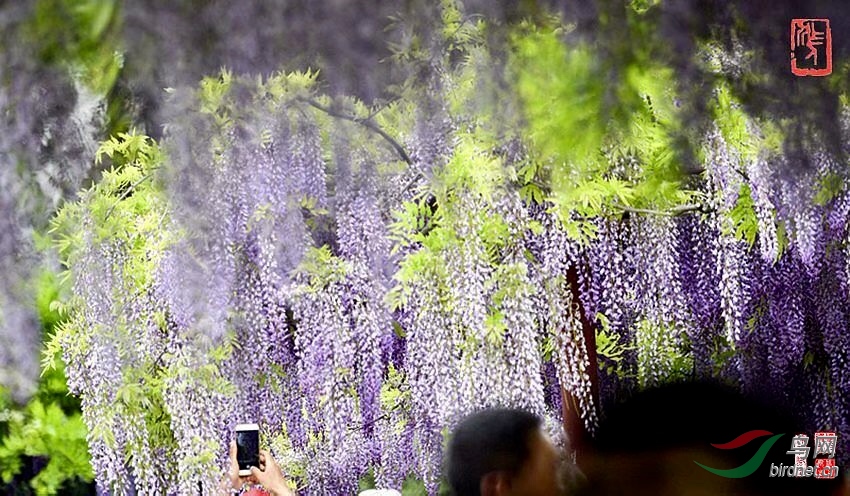 1857C35D-1016-4FCE-B15E-F6F866CC2E58.jpeg