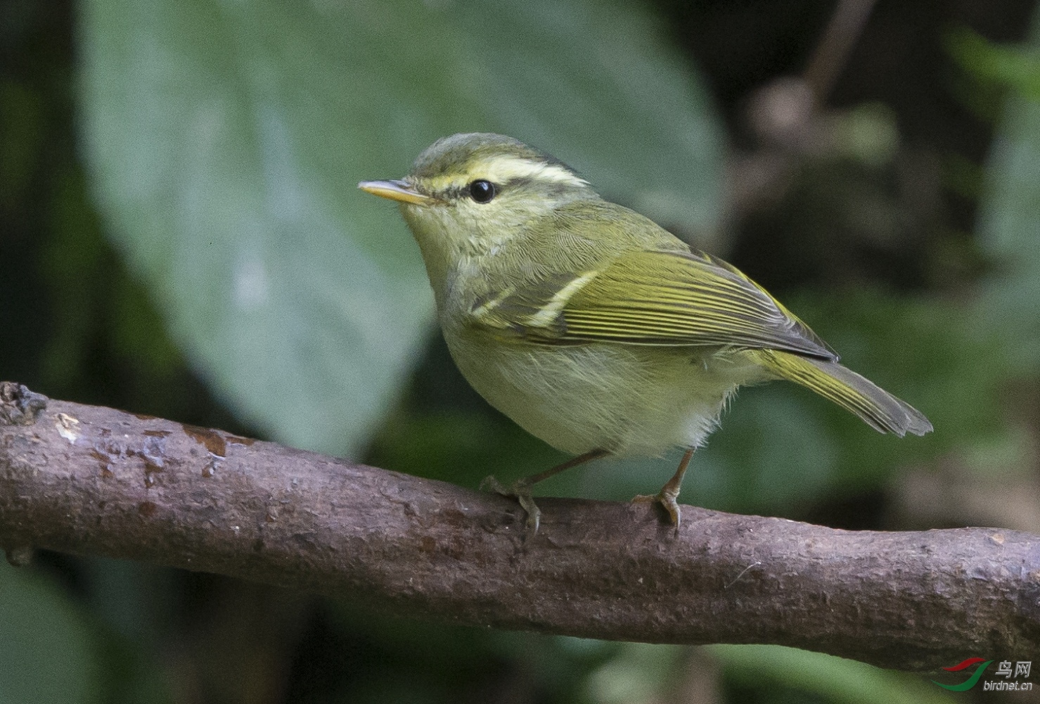 B28Y3523.jpg