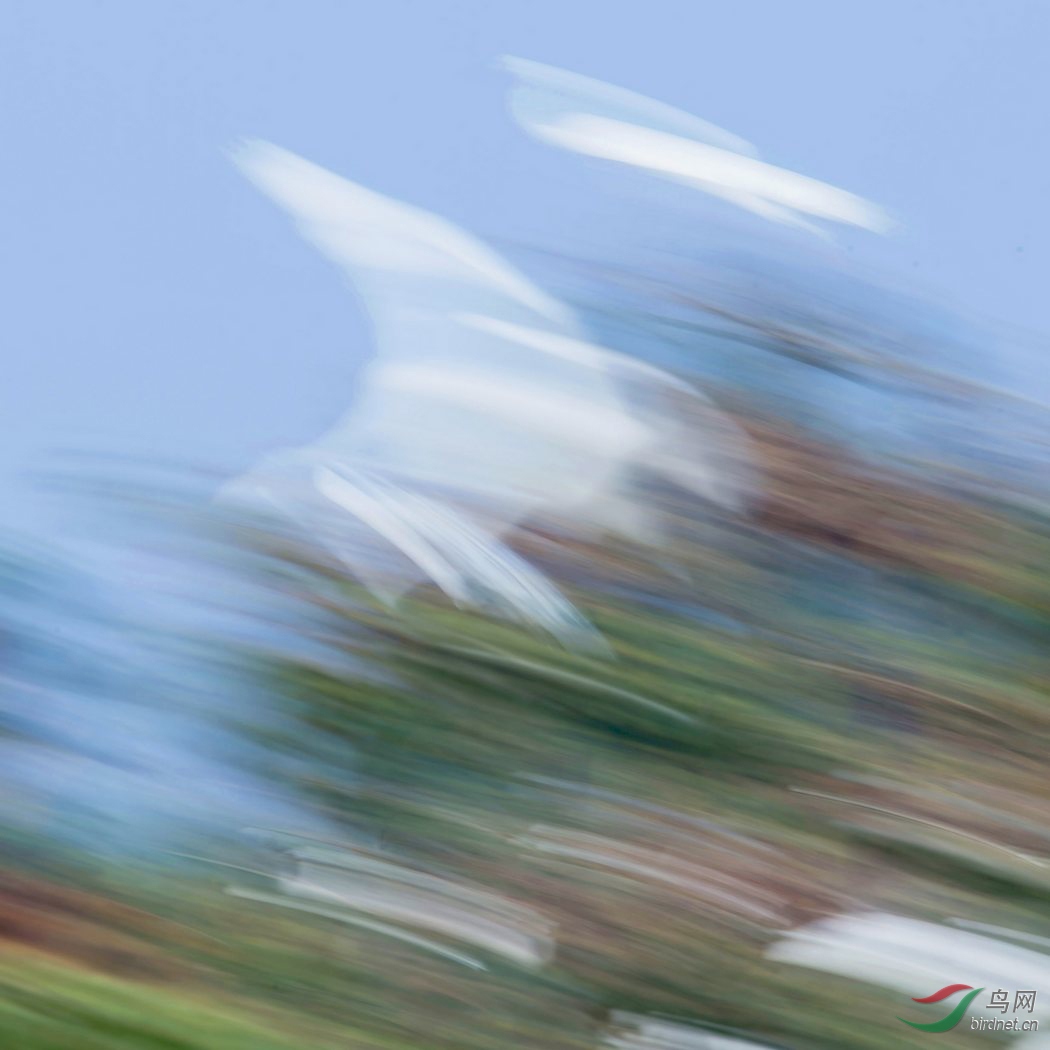 nEO_IMG_DSC_4732.jpg