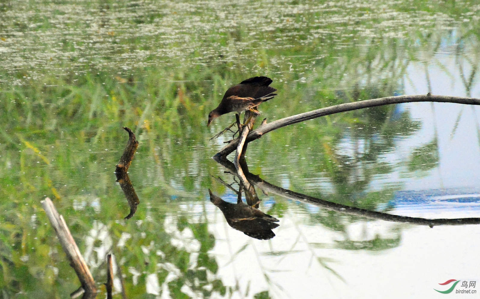 DSC_3864.JPG