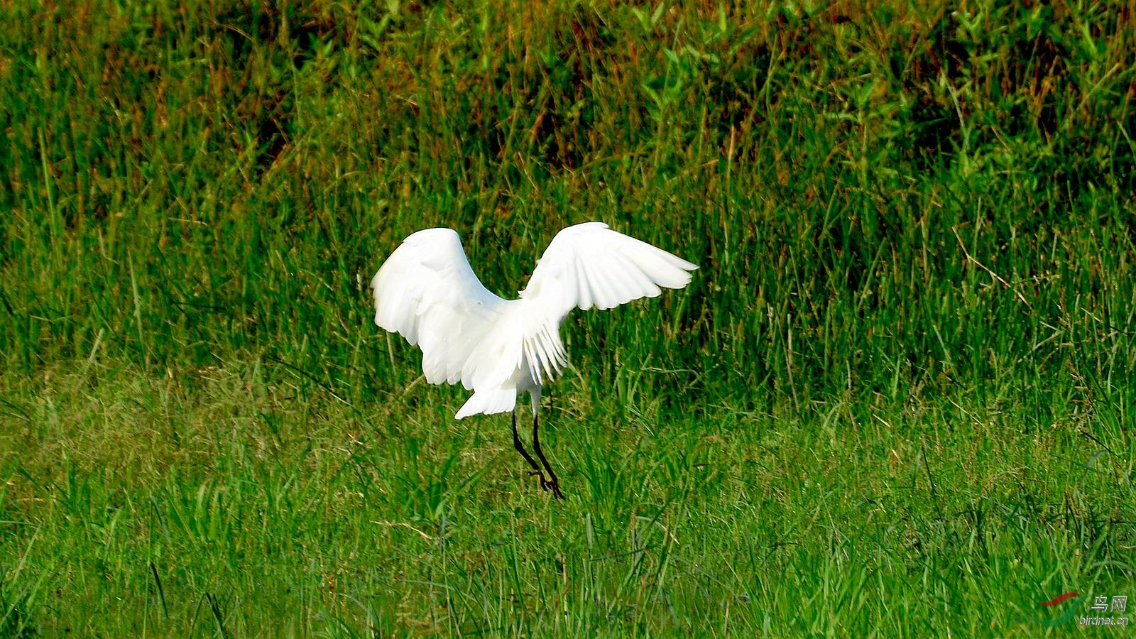 DSC_7097.JPG