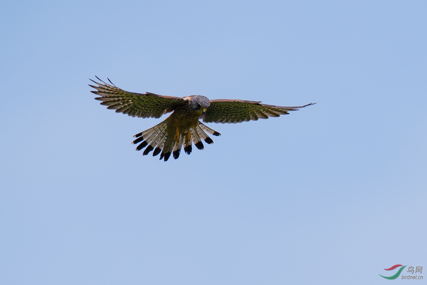 DSC_p2840.jpg