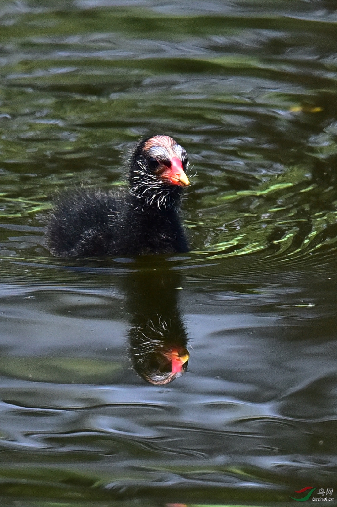 DSC_0714.JPG
