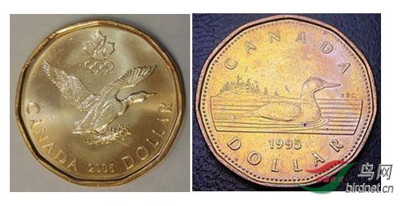 ����ӹ�����Ӳ��