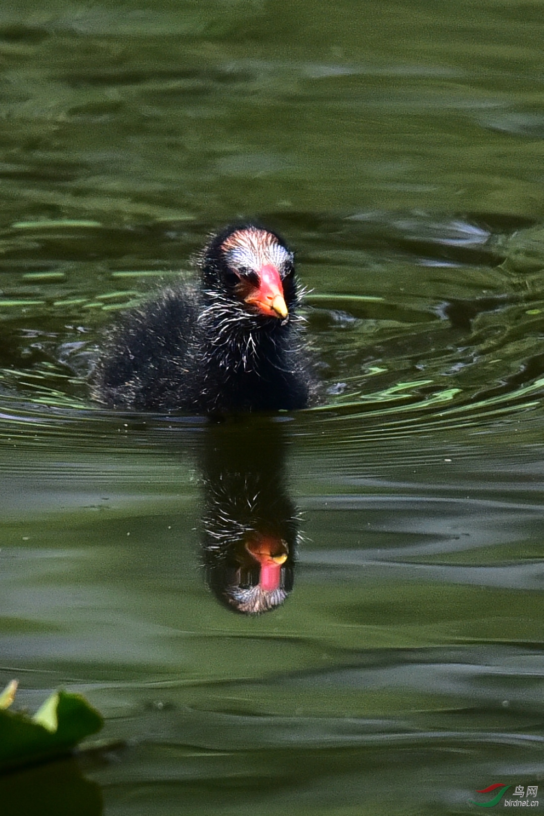 DSC_0716.JPG