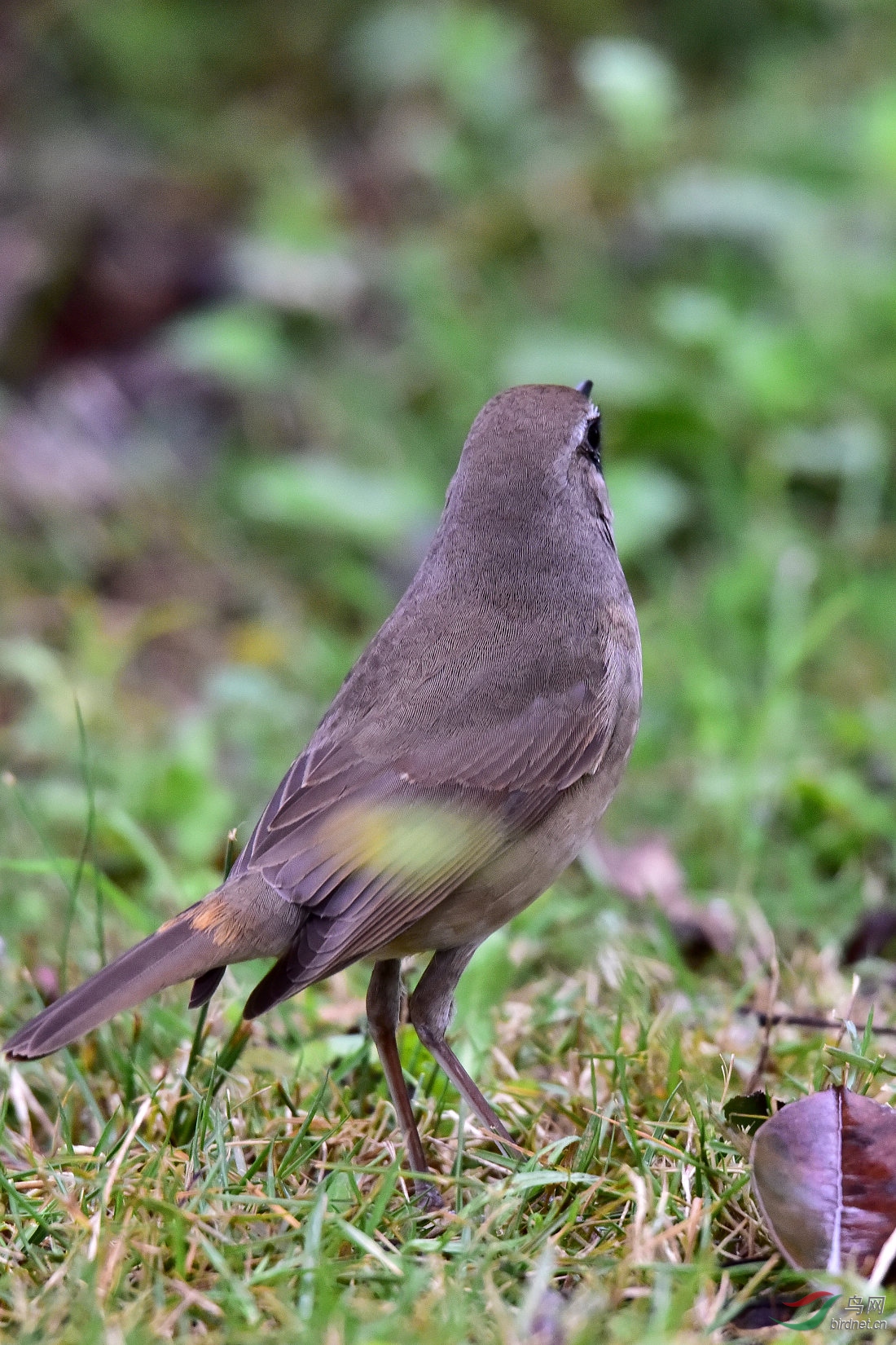 DSC_0271.JPG