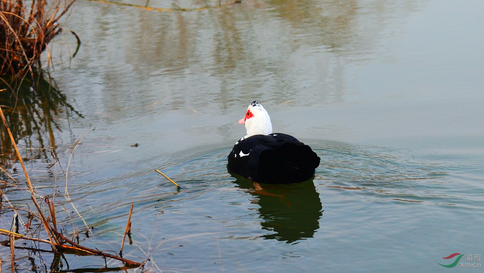 DSC_4138.JPG