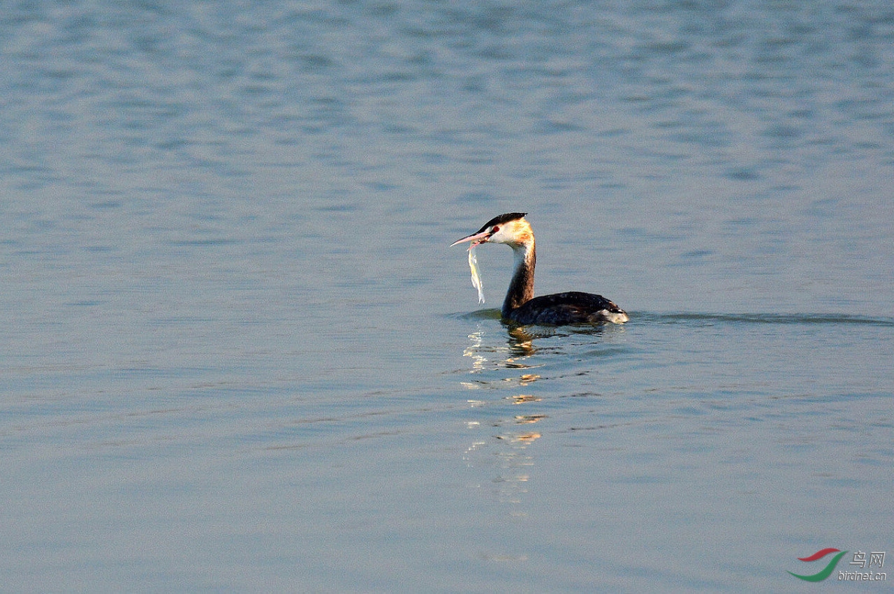 DSC_5935.JPG