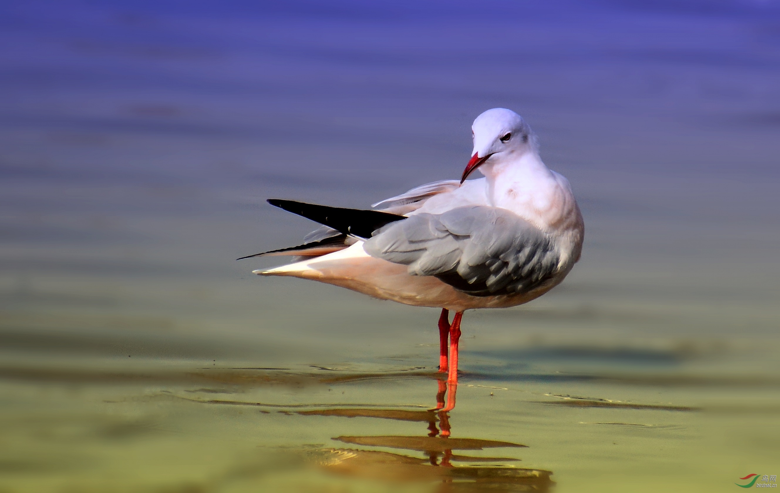DSC_0389_conew1.jpg
