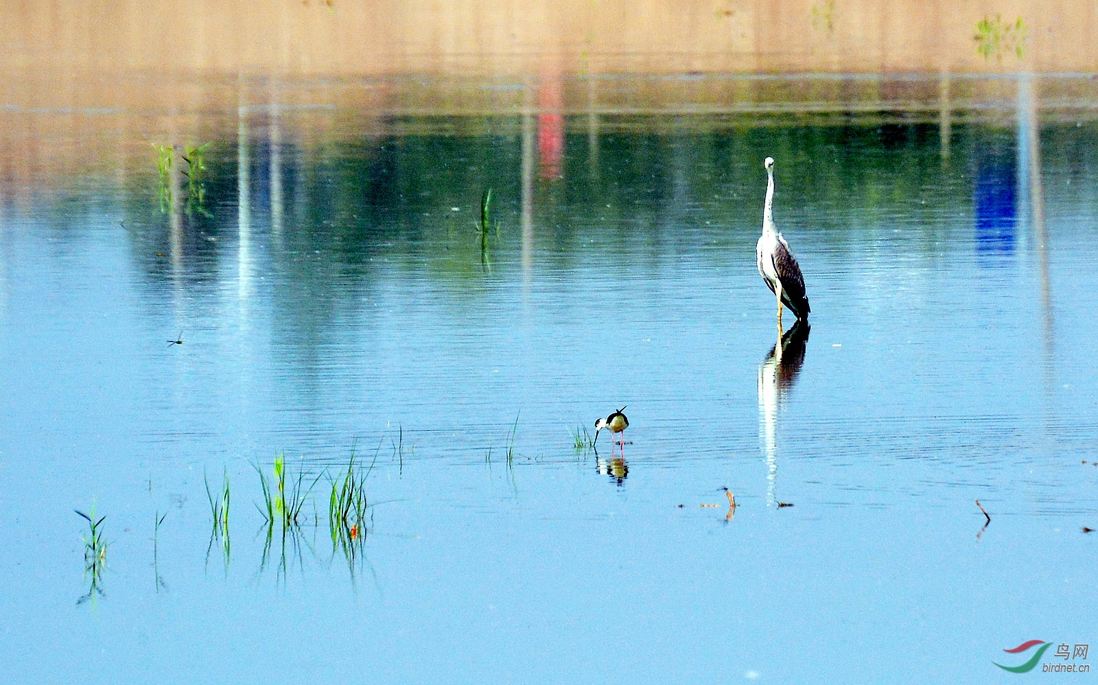DSC_0408.JPG