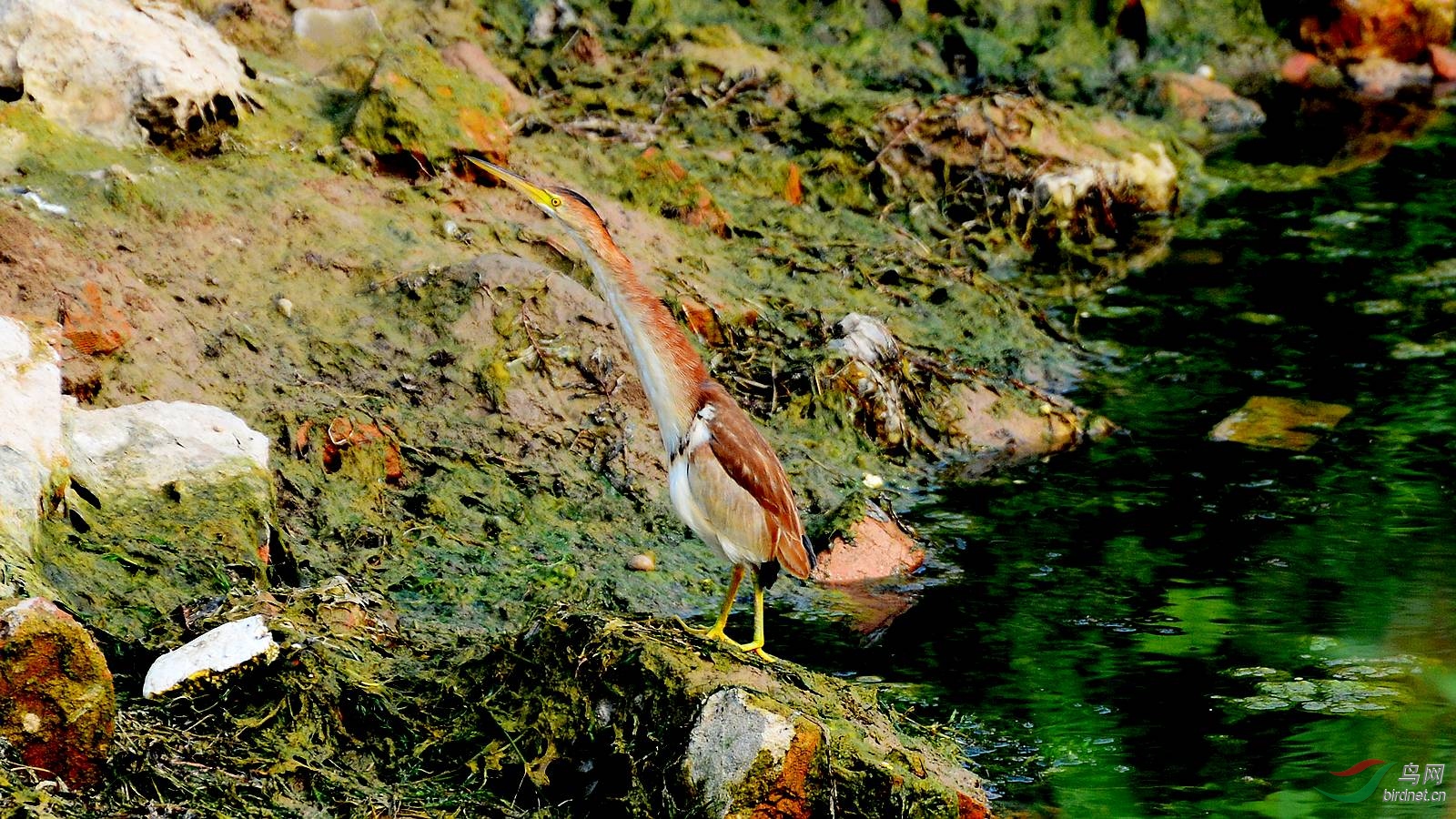 DSC_6316.JPG
